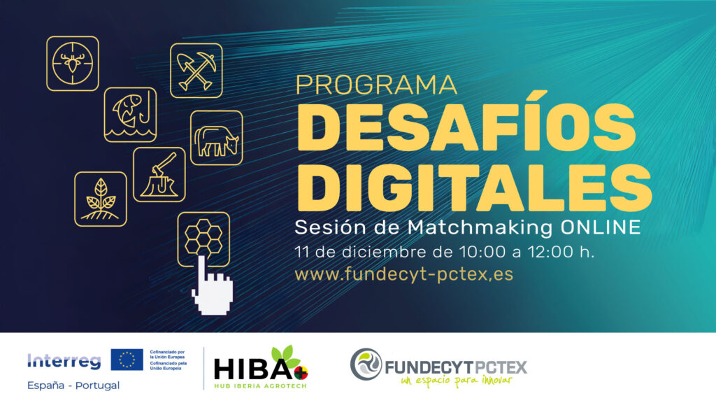 Desafios digitales