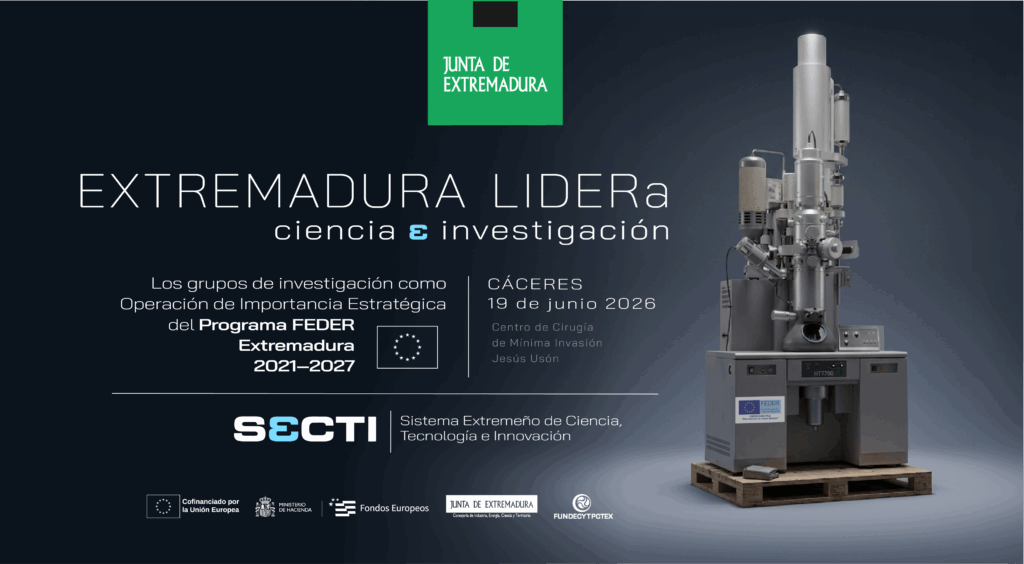 Feder bannersMesa de trabajo 3 copia